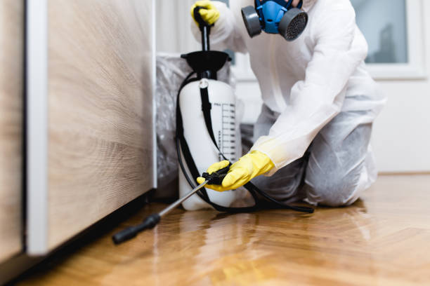 Best Pest Inspection Near Me  in Fullerton, NE
