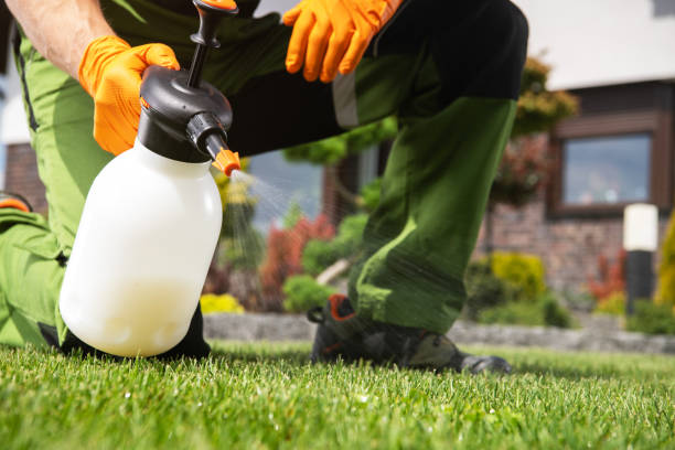 Best Commercial Pest Control Services  in Fullerton, NE