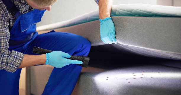 Best Rat Extermination Near Me  in Fullerton, NE