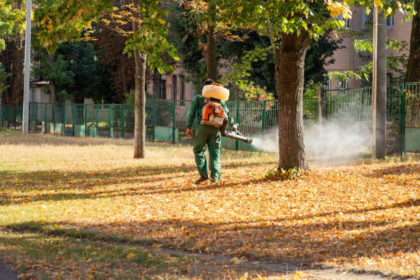 Trusted Fullerton, NE Pest Control Experts